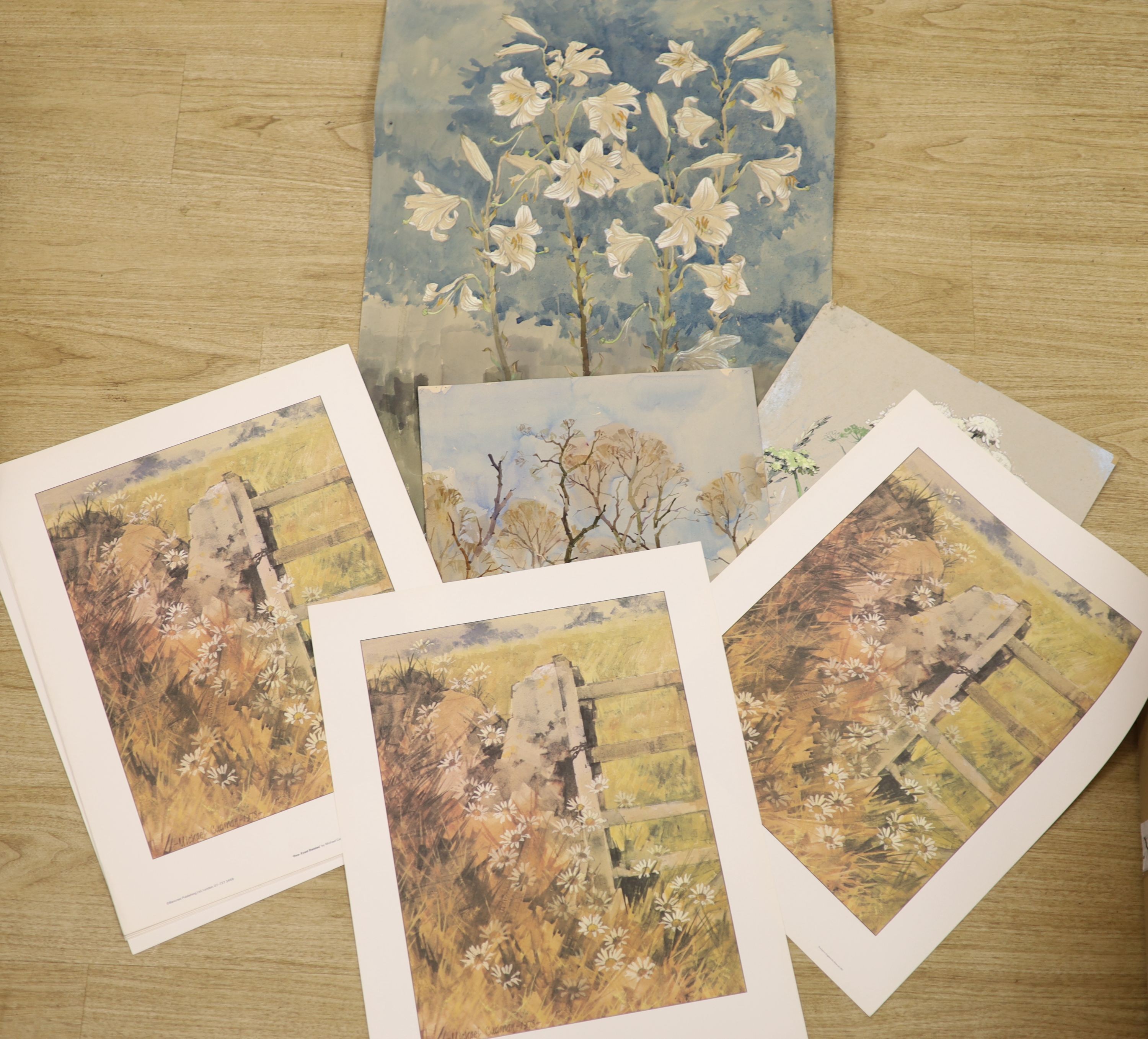 Michael Lawrence Cadman (1920-2010), small group of unframed watercolours, Botanical studies, largest 78 x 58cm